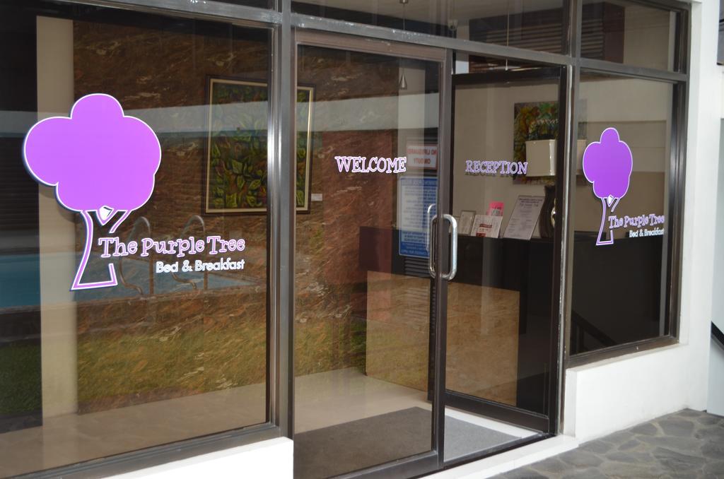 Purple Tree Bed & Breakfast Paranaque City Extérieur photo